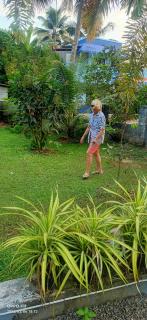 ART Marari Beach house - Mararikulam - 7