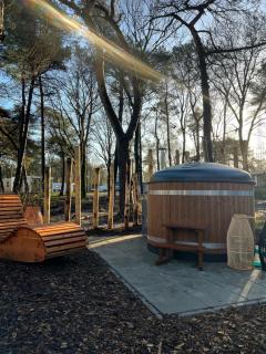 Cabin in the woodz met hottub - Haarle - 4