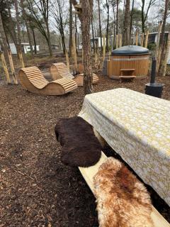 Cabin in the woodz met hottub - Haarle - 8