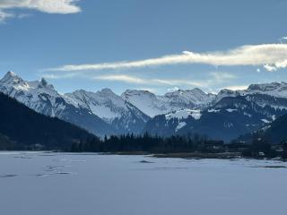 Cozy Chalet Bergblick - Oberiberg - 6