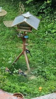 Ferienwohnung Streckhofidylle - Osterode - 7