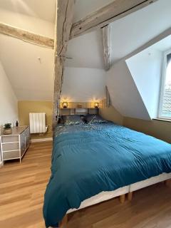 Les Combles de Colbert- hyper center - Troyes - 7