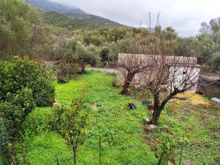 Nature House Vlatos - 7