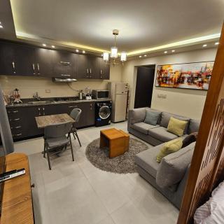 luxury Studio Hotel level at an affordable price - Sheikh Zayed - 0