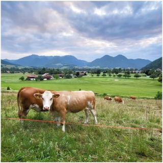 Wohnung Weitsicht - Ruhpolding - 9