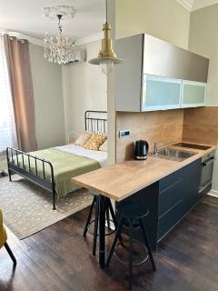 Yulia's beautiful studio - Belgrade - 5
