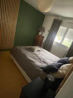 pau appartement - Pau - 4
