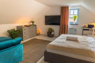 Villa Loft - Touri Alpesi Birtok - Bozsok - 7