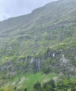 Cascade et Paille-en-queue - Studio - Hell-Bourg - 8