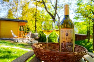 Resort pod orehi - Bled - Apartma & Glamping & Savna - Bled - 9