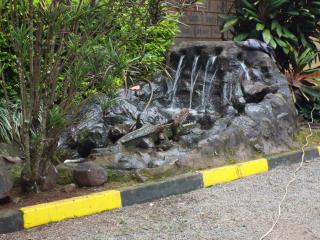 The Gems Resort - - 1