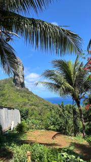 flamboyant House - 2