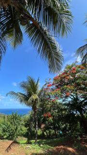 flamboyant House - 3