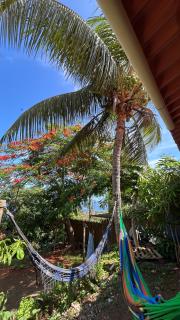 flamboyant House - 4