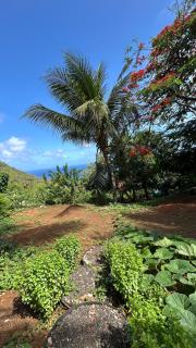 flamboyant House - 7