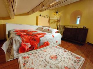 "Il Torrione di Lara" locazione turistica - Montagnana - 0