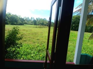 Peaceful view guest house - Weligama - 7
