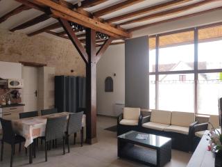La Haute Traversiere - Francueil - 8