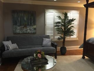 Louisiana Cajun Mansion - Youngsville - 6