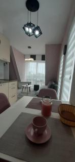 Apartman-Diva-Vukovic - Divčibare - 9