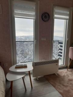 Apartman-Diva-Vukovic - Divčibare - 3