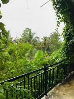 Lion House - Unawatuna - 6