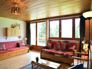 Studio 5 pers. avec balcon, secteur Diable, animaux admis - FR-1-516-47 - Les Deux Alpes - 9
