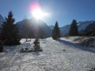 Studio 5 pers. avec balcon, secteur Diable, animaux admis - FR-1-516-47 - Les Deux Alpes - 2