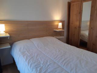 Charmant 3 pièces aux Deux Alpes, proche pistes, animaux acceptés - FR-1-516-98 - Les Deux Alpes - 1