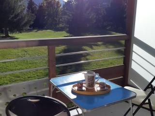 Studio idéal pour famille, pied des pistes - FR-1-516-111 - Les Deux Alpes - 2