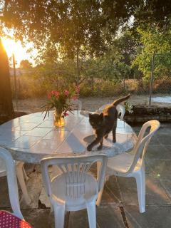 SΗΑΝΤΙ country house 100m from sandy beach - Halikounas - 5