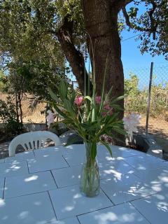 SΗΑΝΤΙ country house 100m from sandy beach - Halikounas - 4