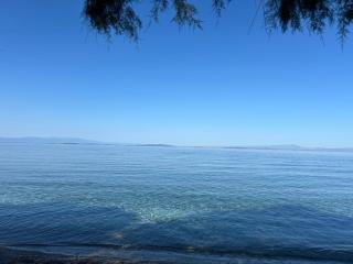 Fotis Apartments - 6