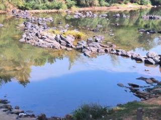 Nandanahomestay - Siddapur - 4