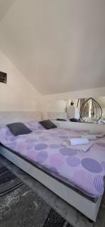 APARTMENTS IVANOViC - Bajina Bašta - 7