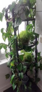 Beautiful king room in Leith Walk - Edimburgo - 8