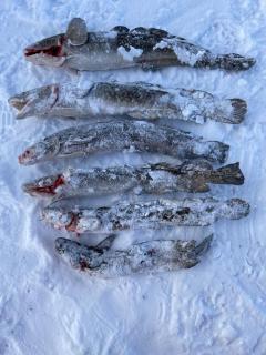 Chalet à la Baie Boudreault - 1