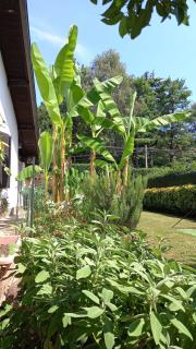 Villa Mary - Venegono Superiore - 7