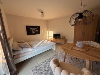 Ferienwohnung RUNWAY "Neu renoviert" - Ratisbona - 8