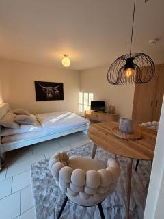 Ferienwohnung RUNWAY "Neu renoviert" - Ratisbona - 7