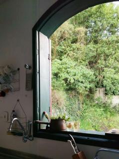 Casa Antiga em OP - 3