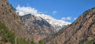 Brahma's by Wonder Hill - 2