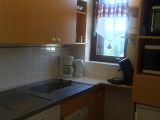 Studio Cabine 33m² – Pied des Pistes, Balcon Sud, Animaux Admis - FR-1-515-79 - Corrençon-en-Vercors - 4