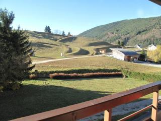 Studio cabine avec balcon sud, proche centre, pistes de luge et piscine - FR-1-515-109 - Villard-de-Lans - 4