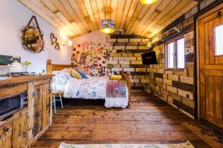 The Goose lodge - Calveley - 7