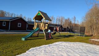 Glad hund - Dalskog - 8
