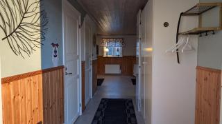 Glad hund - Dalskog - 7