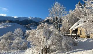 Belle bergerie au cœur des montagnes - 9
