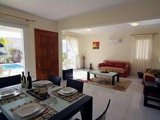 Villa Serendipity - Paphos - 3
