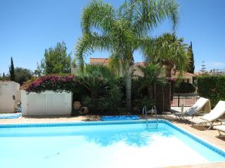 Villa Serendipity - Paphos - 1